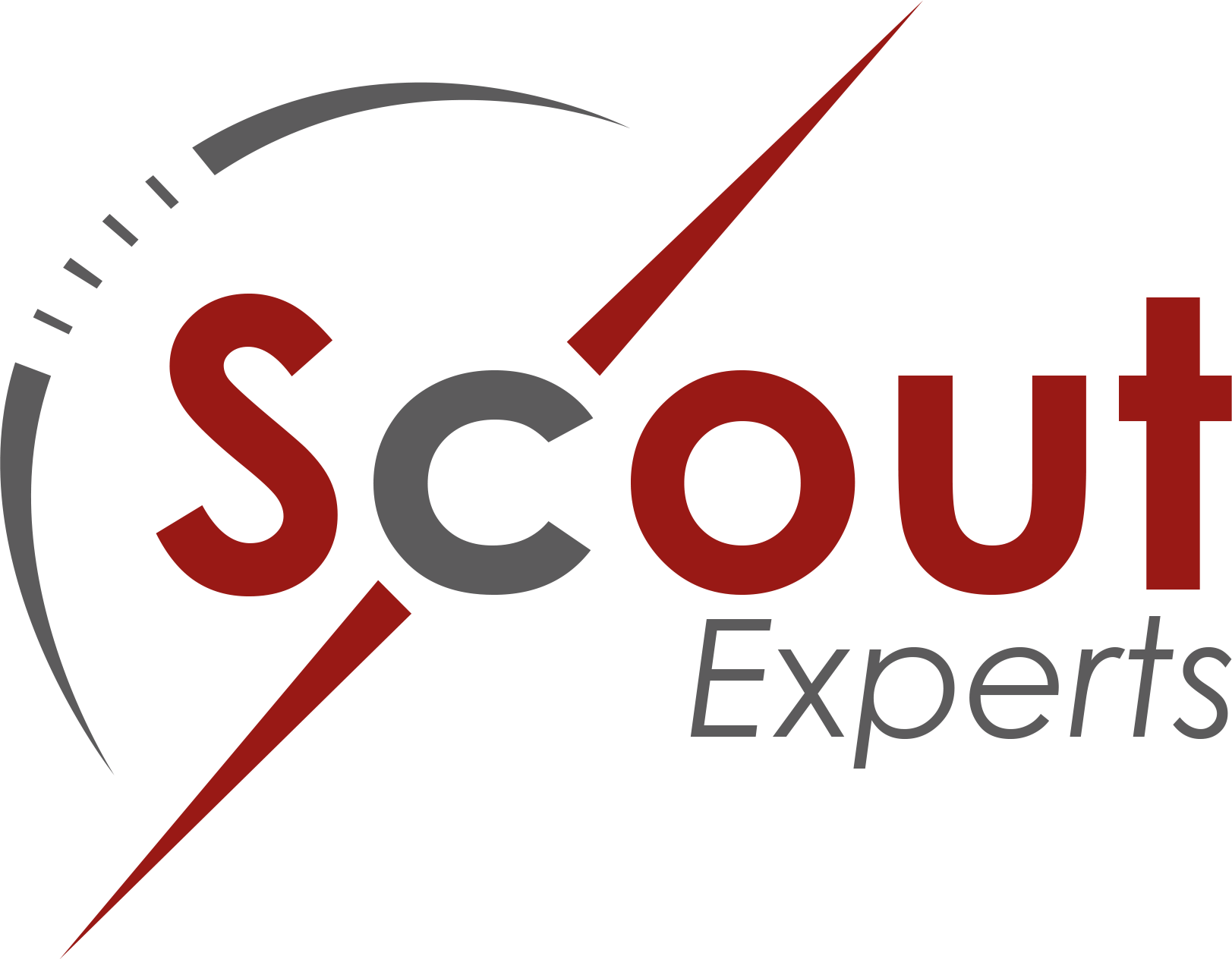 Scout Experts
